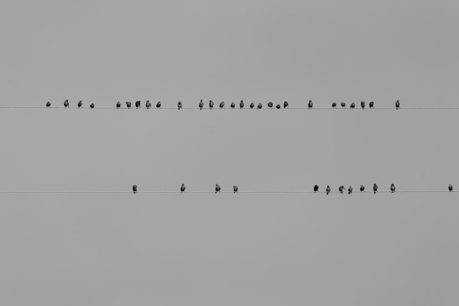 Comparatif ponceuses 2026 : quelle ponceuse choisir ?