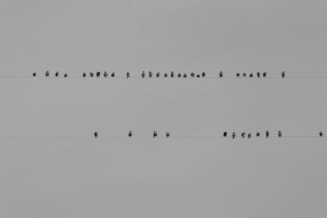 Comparatif ponceuses 2026 : trouver le modèle adapté à vos besoins