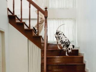 Poncer un escalier : méthode, ponceuses et grains à utiliser