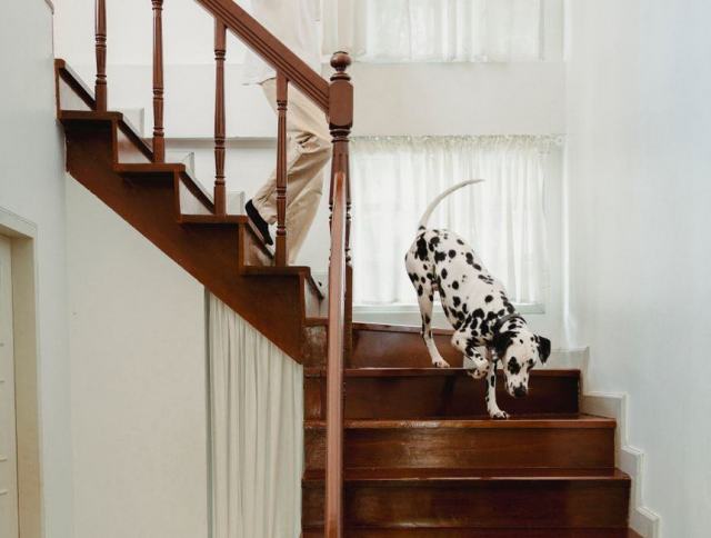 Poncer un escalier en bois : la méthode complète, marche par marche Poncer un escalier en bois : la méthode complète, marche par marche