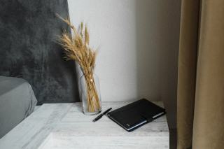 Ponceuse Ryobi : guide des modèles ONE+ pour bricoleurs