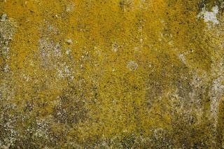 Ponceuse triangulaire : angles, moulures et zones inaccessibles